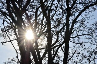 Digitálna fotografia