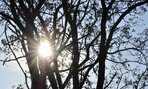 Digitálna fotografia