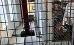 Interaktívna výstava – stála expozícia: Elektromagnet – žiaci sa s ním interaktívne oboznámili 