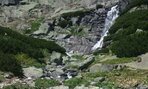 20170613_124131 (2)