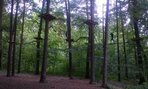 WP_20160617_037