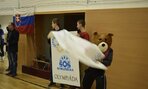 _DSC0525